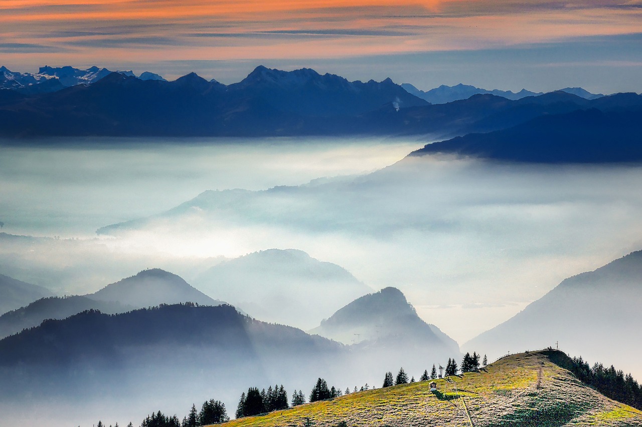 Foggy