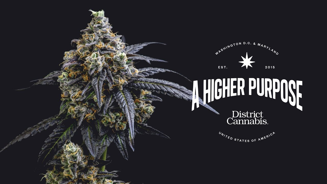 District Cannabis