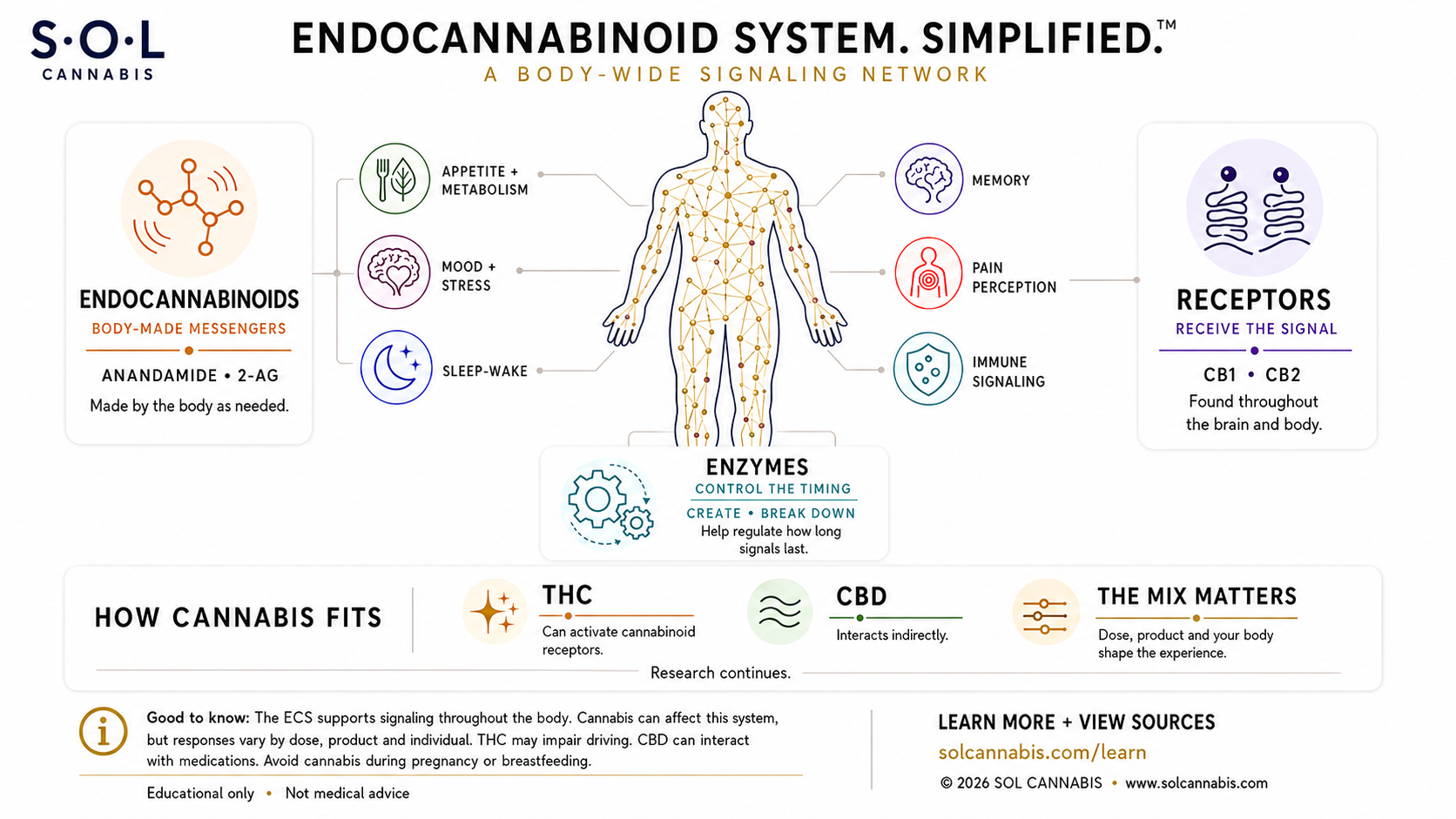 Endocannabinoid System. Simplified.™ — SOL Cannabis diagram showing endocannabinoids (anandamide and 2-AG), CB1 and CB2 receptors, enzymes, and the six functions regulated: appetite and metabolism, mood and stress, sleep-wake cycle, memory, pain perception, and immune signaling. THC can activate cannabinoid receptors; CBD interacts indirectly. Educational only — not medical advice.